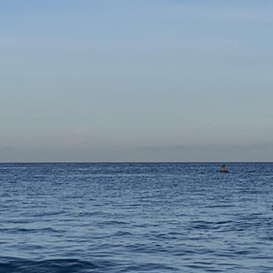 AAAA级少妇与动物
