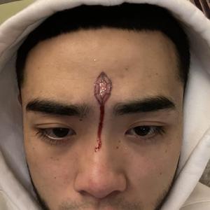 AAAA级少妇与动物
