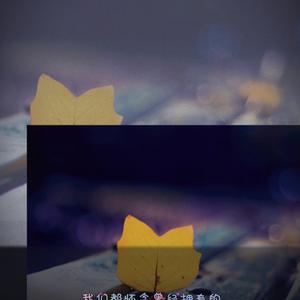 AAAA级少妇与动物
