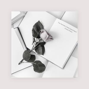 AAAA级少妇与动物
